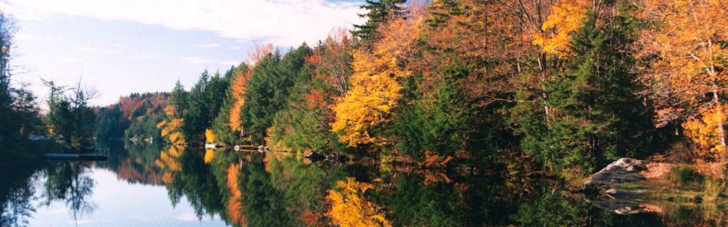 fall foliage in vermont