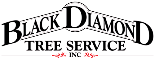 Black Diamond Tree Service