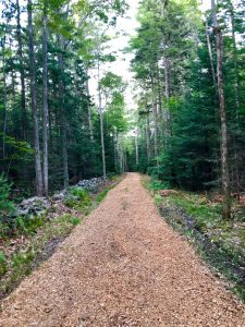 black diamond trail clearing enhancement